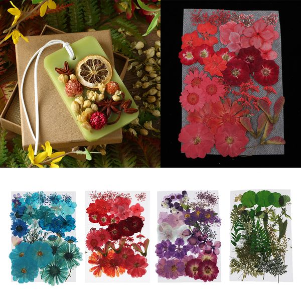 

36/38/39pc natural real pressed dried flowers diy scrapbooking