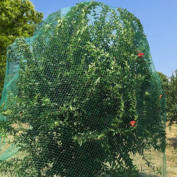 

bird netting reusable garden net fencing for fruit trees vegetables protection