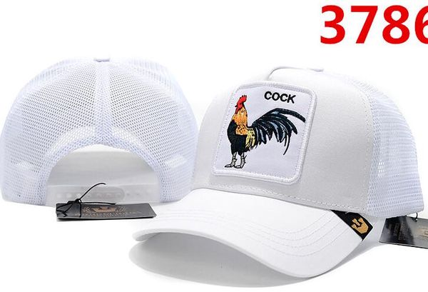 

Bonés com Viseira dada001