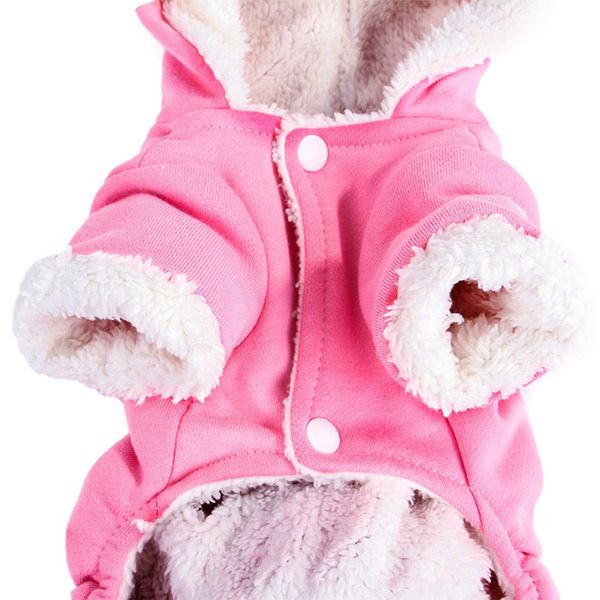

мале обаки кан pet cute капоном гђае пало кђѬки енки вокого каева