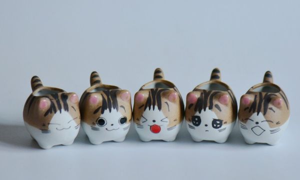 Acheter Mignon Dessin Animé Pet Chat Planteur Pots Vente Chaude Doigt Plantes Succulentes Facile De Plus En Plus Pot De Fleurs De Bureau Drôle Balcon
