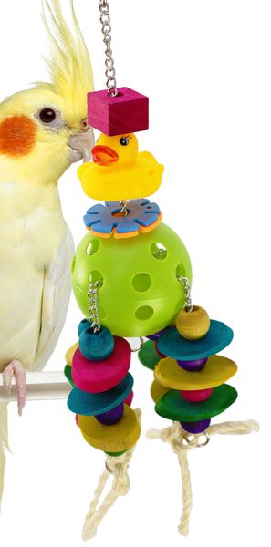 

parrot gnaw toys bird toys colour building block small yellow duck pull string