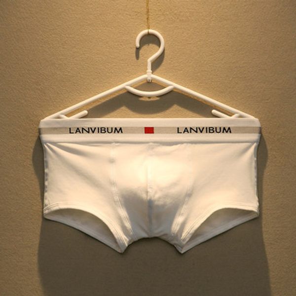

2020 brand fashion luxury designer underwears boxers low waist boxer pants solid color plus size mans underwear new style, Black;white