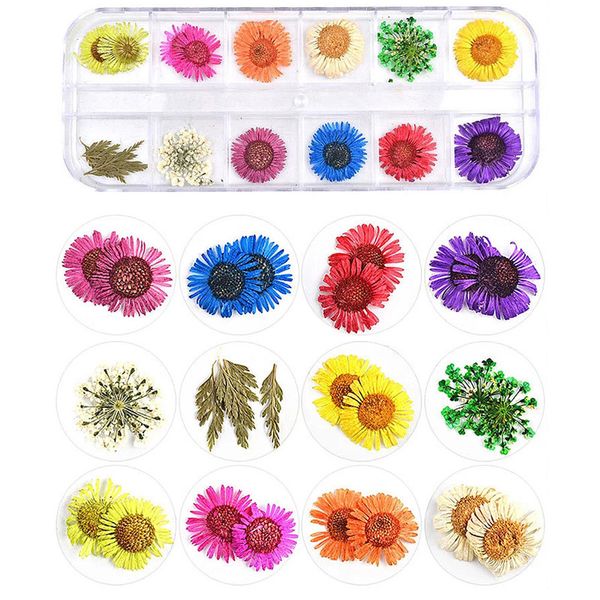 

1 box 12 grids real nail daisy dried flowers nail art decoration diy tips small flowers nails stickers for manicure tools, Silver;gold