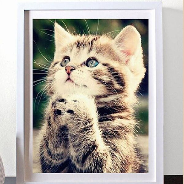 Cat 5d Diy Pintura Diamond Cross Stitch Kit Unfinished parcial de diamante rodada Rhinestone Bordados Início Mosaic Decoração Diamond Artesanato Arte