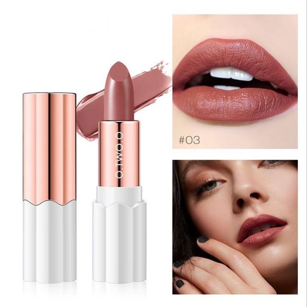 O.TWO.O 12 cores Plum Blossom Batom Nude Rich Color À Prova D 'Água Hidratante de Longa Duração Lábios Leve Maquiagem 72 pçs / lote DHL