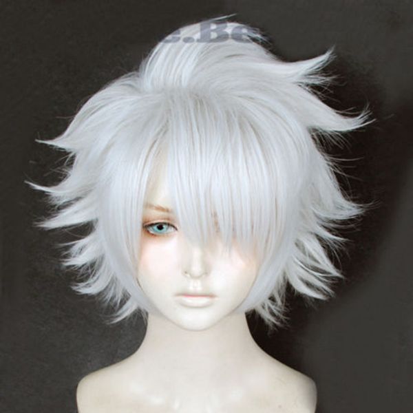 

fgo fate/grand order sir galahad short gray white cosplay hair wig, Black