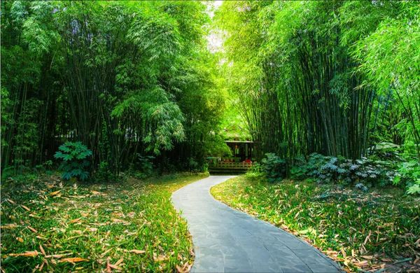 

3d wallpaper custom p murals background wall natural scenery, bamboo forest trail, landscape mural home decor wall art pictures