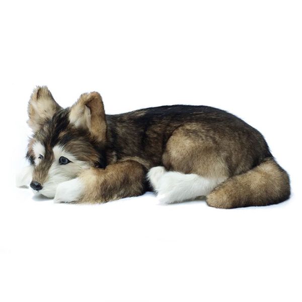 Dorimytrader realista animal husky brinquedo de pelúcia recheado macio simulação cachorro cachorros de estimação decoração presente 36x25x14cm DY80007