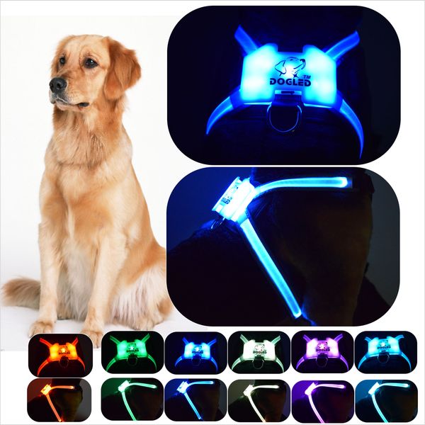 

Coleiras & Trelas para Cães dogled