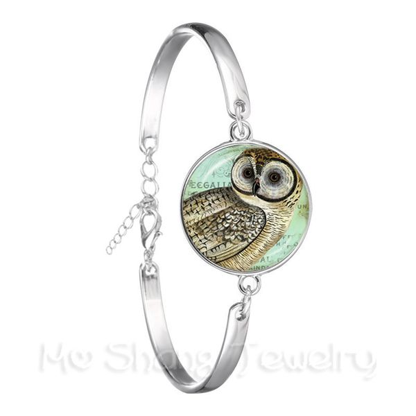 

owl pattern classic bracelet insect art picture 18mm glass cabochon dome silver plated bangle for women girls gift, Black