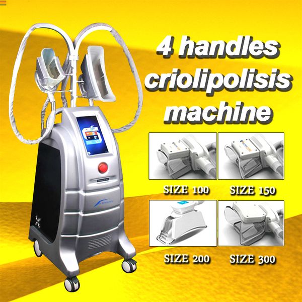 

new arrival 4 handles cryo cool shaping e efat kryolipolyse cryolipolyse criolipolysis weight loss machine medical supplies