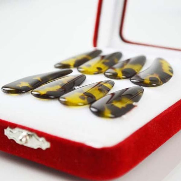 

natural-imitated high-grade nail fingernails zither for beginners to practice finger picks zither accessories