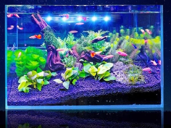 

tank led diving lamp aquarium led bubble lamp single row water lamp
