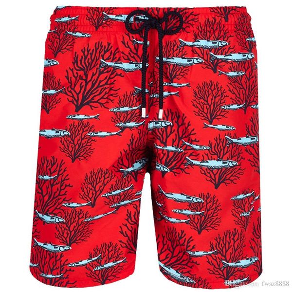 

vilebre mens shorts color turtle starfish surf board shorts summer sport beach homme bermuda short pants quick dry boardshorts 89133, White;black