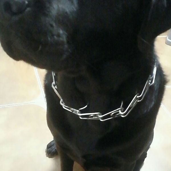 

dog collar strong professional metal nylon pinch dog training chain collar prong pet choke collars 3 different size