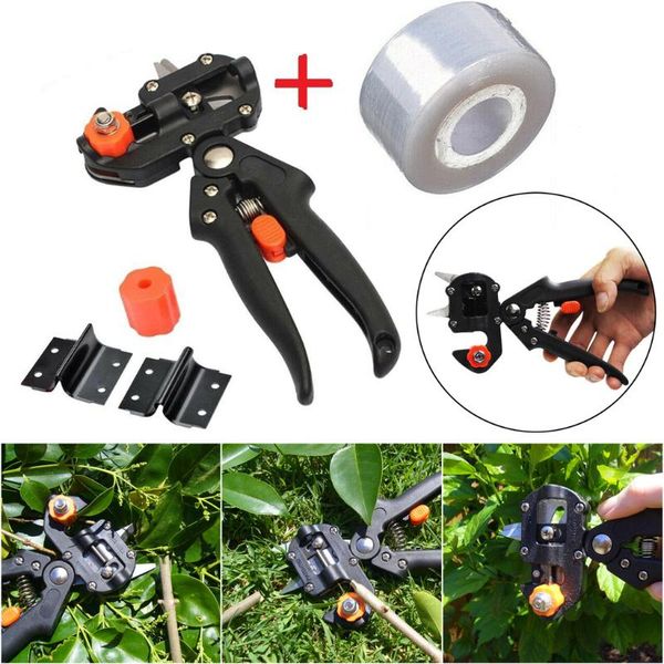 

plant cut nursery garden branch cutter scissor shear floristry fruit tree grape secateur pruner pruning graft tool vine seedle f