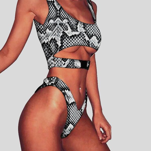 

kgfigu great material snake print pattern summer two piece sets women 2018 summer est style matching sets woman clothes, White