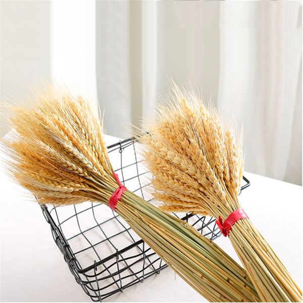 

100pcs/lot real wheat ear flower natural dried flowers for wedding party decoration diy craft scrapbook home decor wheat bouquet