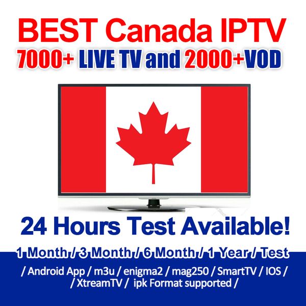 

1 3 6 12 month iptv ub cription for mart tv m3u mag box android io device france uk italy u a pain canada abonnement iptv