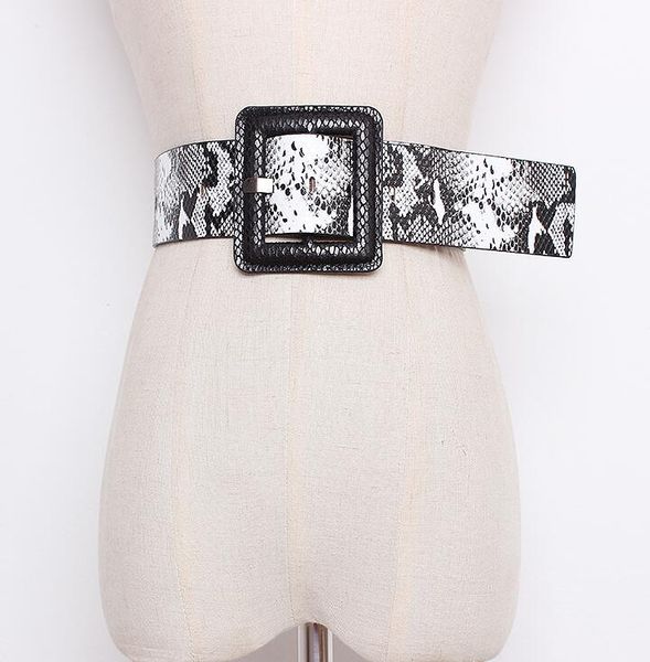 

women's runway fashion snake skin print pu leather cummerbunds female dress corsets waistband belts decoration wide belt r1661, Black;brown