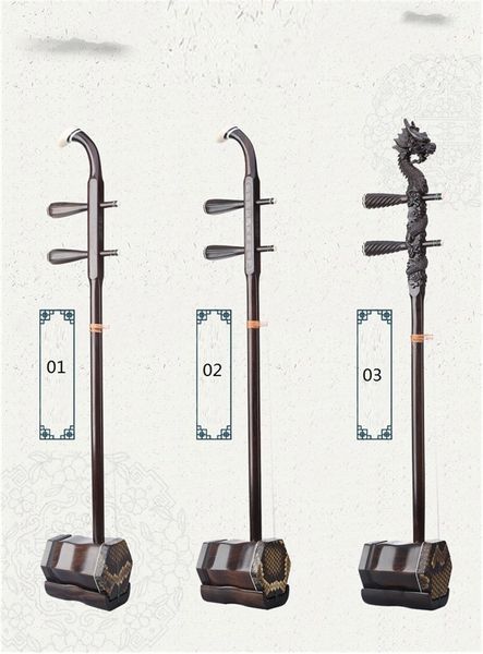 

chinese national instrument erhu