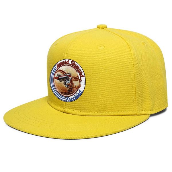 

lynyrd skynyrd baseball logo flat brim baseball cap custom youth trucker hats blue national flag eagle star 1991 2016, Blue;gray