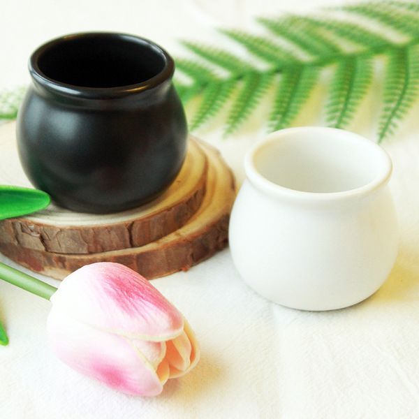 

ceramic succulent pot small flower pot bonsai planter mini round black white color indoor home decor