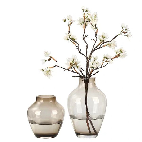 Hot Sell Glass Vase Flower Vase Fairy Garden Decor Home Decoration Crafts Hydroponics Transparent Flowerpots Plants Holder Gift Large Clear Glass