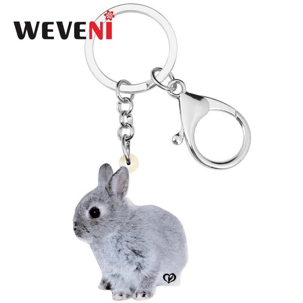 

weveni акѬиловй еѬй паалнй за бѬелки живон бѬелок велиѬне издели дл, Silver