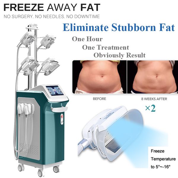 

ce approved cryolipolysis slimming machine fat e 5 head weight loss body shaping body slimming system salon use