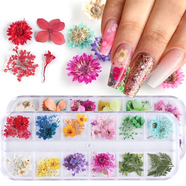 Flores secas Nail Art Decorações Natural Seco Folha Floral Adesivos Multi Cor 3D Unhas Projetos Etiqueta Polonês Manicure Ferramenta Definido