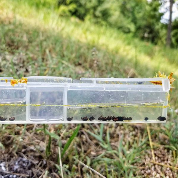 

10pscs / set улей улей ловушка многоразовый beetle shockwave trap пчеловодство инструмент борьбы с вредителями продукты nk