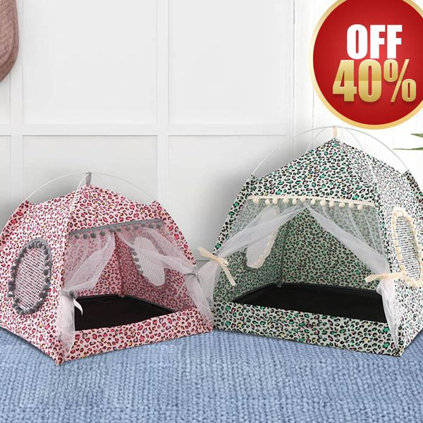 

бђик нов дееве cat поме лео малого пе teddy малой палака импаинй Ѭозовй