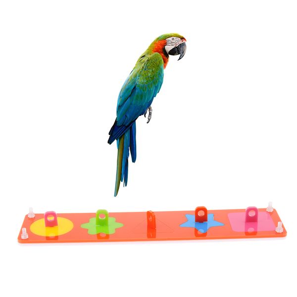 

colorful pet bird toy puzzle building block chew bite playing toys for parrot training