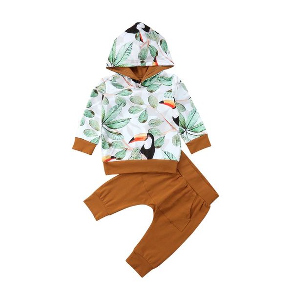 

toddler infant baby boys bird hooded + pocket pants outfits set clothes 0-2t, White