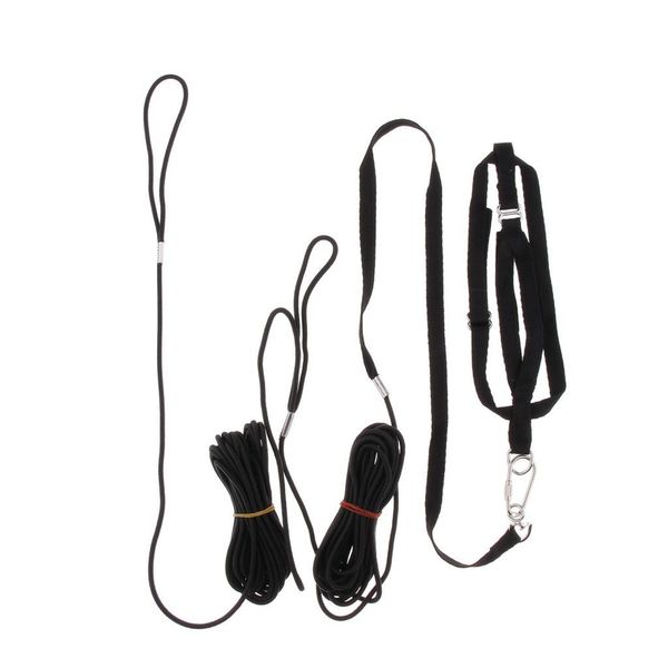 

outdoor parrot leash adjustable bird