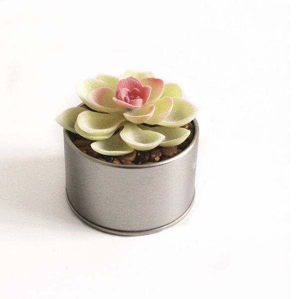 

artificial succulents plant fake cactus home floral diy garden miniature decors