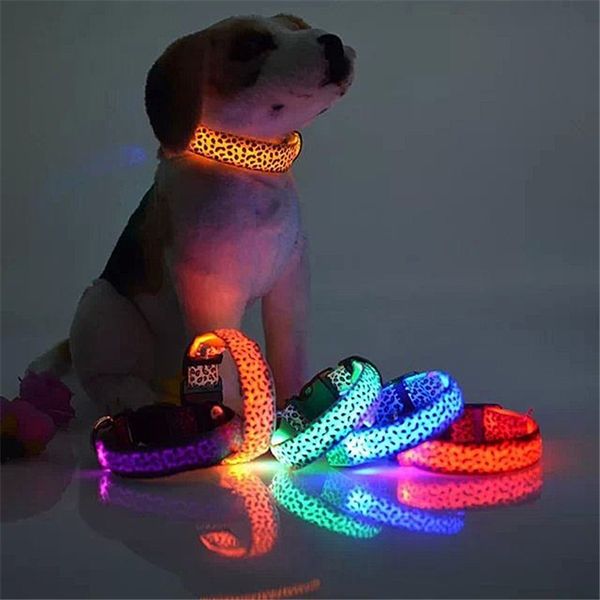 

nylon led pet dog collar night safety flashing glowing collar leash for dogs luminous fluorescent pet supplies