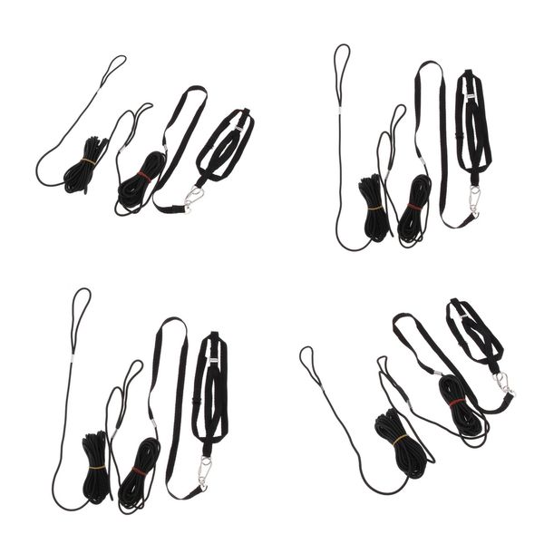 

4pcs adjustable harness outdoor leash for small to large birds