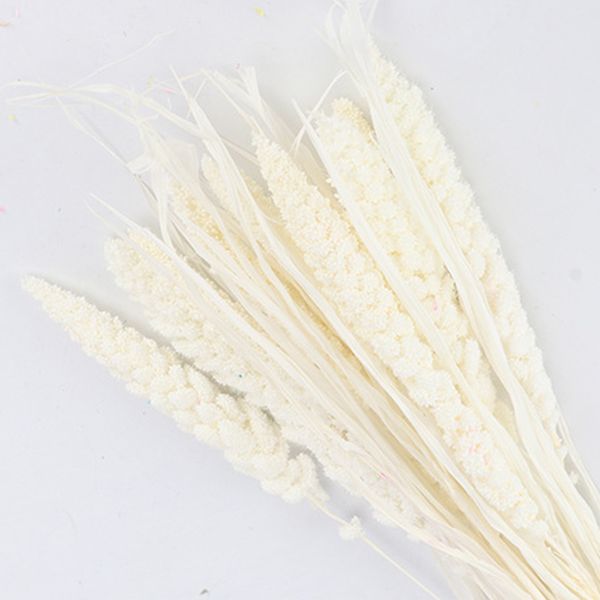 

10 pcs natural dried fresh flower bundle preserved millet flower diy wedding party decoration home bedroom ornament