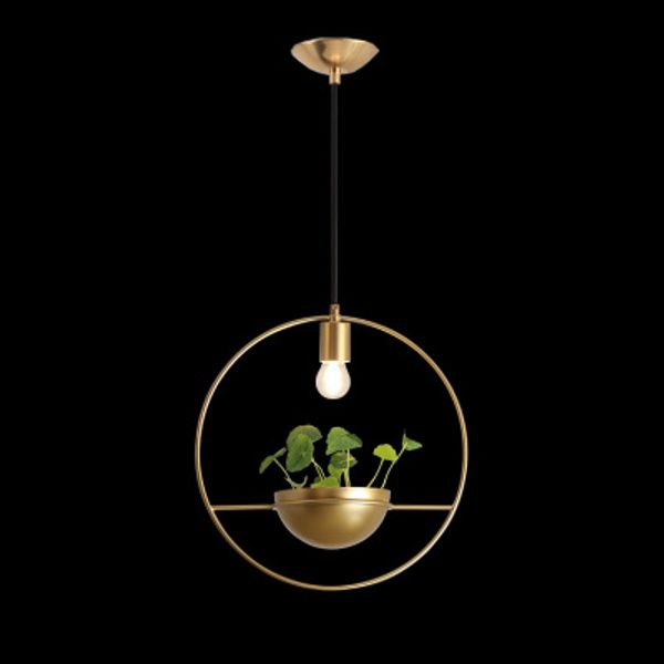Modern Pendant Ceiling Lamps Diy Plant Pendant Lights Led Pending