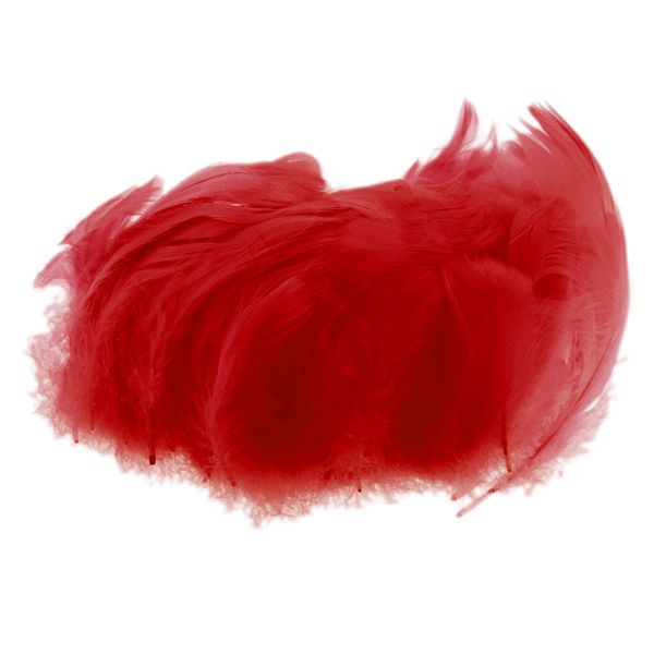 

200pcs colorful feathers indian mixed colorful for crafting for diy earring, wedding, dream catcher