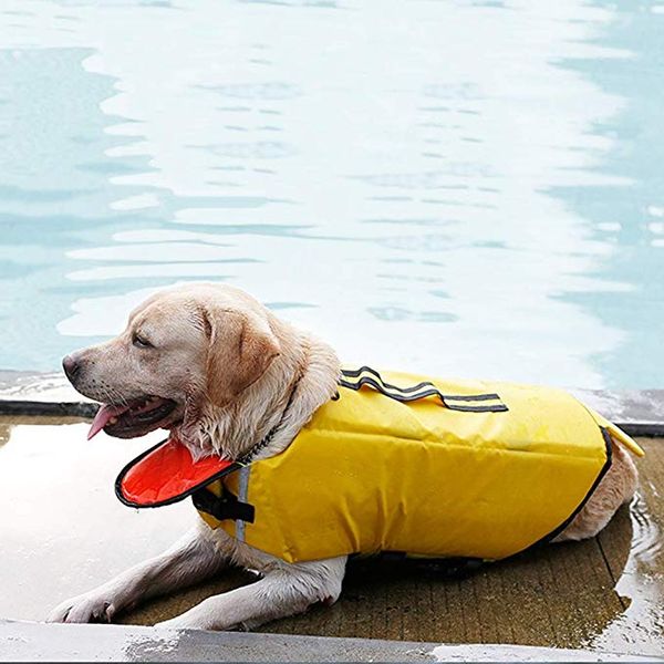 Acheter Gilet De Natation Canard Jaune Gilet De Sauvetage Pour Chien Gilet De Sauvetage Pour Petits Moyens Et Grands Chiens De Taille Gilet Style