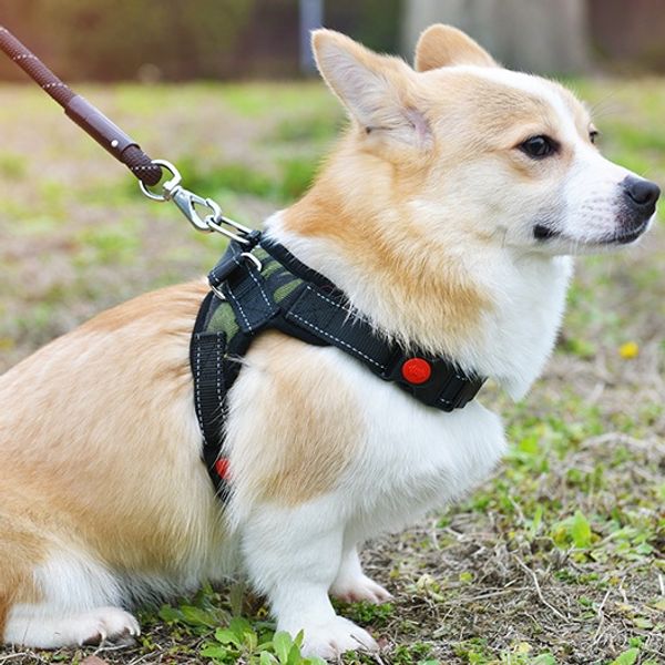 

adjustable nylon leash for dog vest for big dog harness large leash s-xl medium pet supplies vest pet collar d20