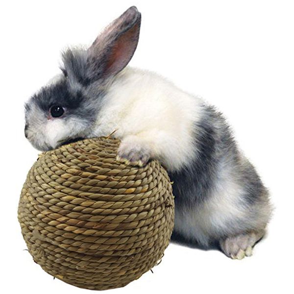 

1 pc pet chew toy natural herb ball with bell for rabbit hamster guinea pig for dental cleaning