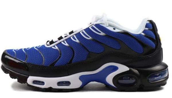tns royal blue