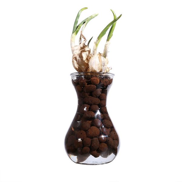 

1bag 100g activated carbon biological balls filter media f/ potted plants
