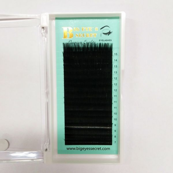 

Cílios Postiços seashinelashes