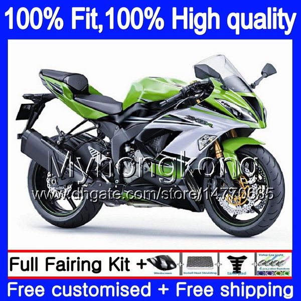 Injeção OEM Para KAWASAKI ZX636 ZX6R 2013 2014 2015 2016 2017 207MY.27 ZX 636 600cc ZX636 ZX 6R ZX6R 13 14 15 16 17 Fairing verde branco